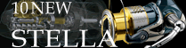 10 NEW STELLA