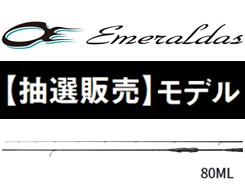ダイワ　stoist rt cgs 80ml Introducing the cutting edge egging rod 
