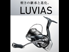 グローブライド（ダイワ） 24ルビアス LT3000－H 33